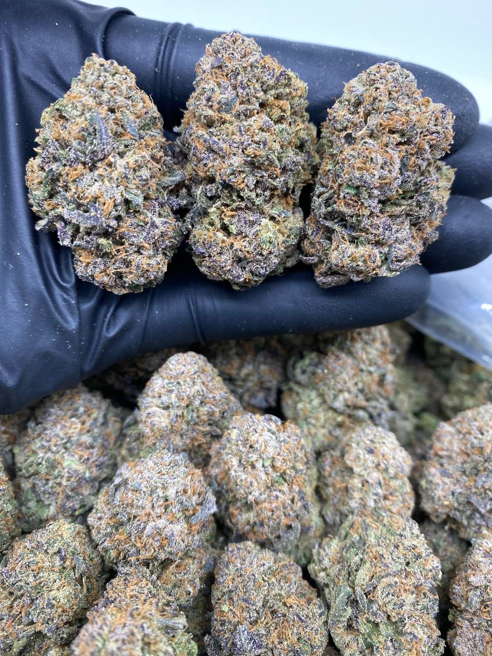 BLACK CHERRY RUNTZ