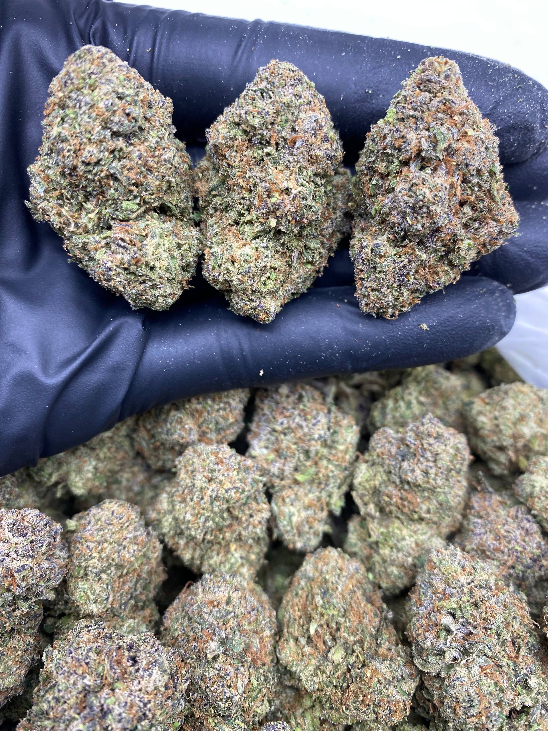 LEMON CHERRY GELATO