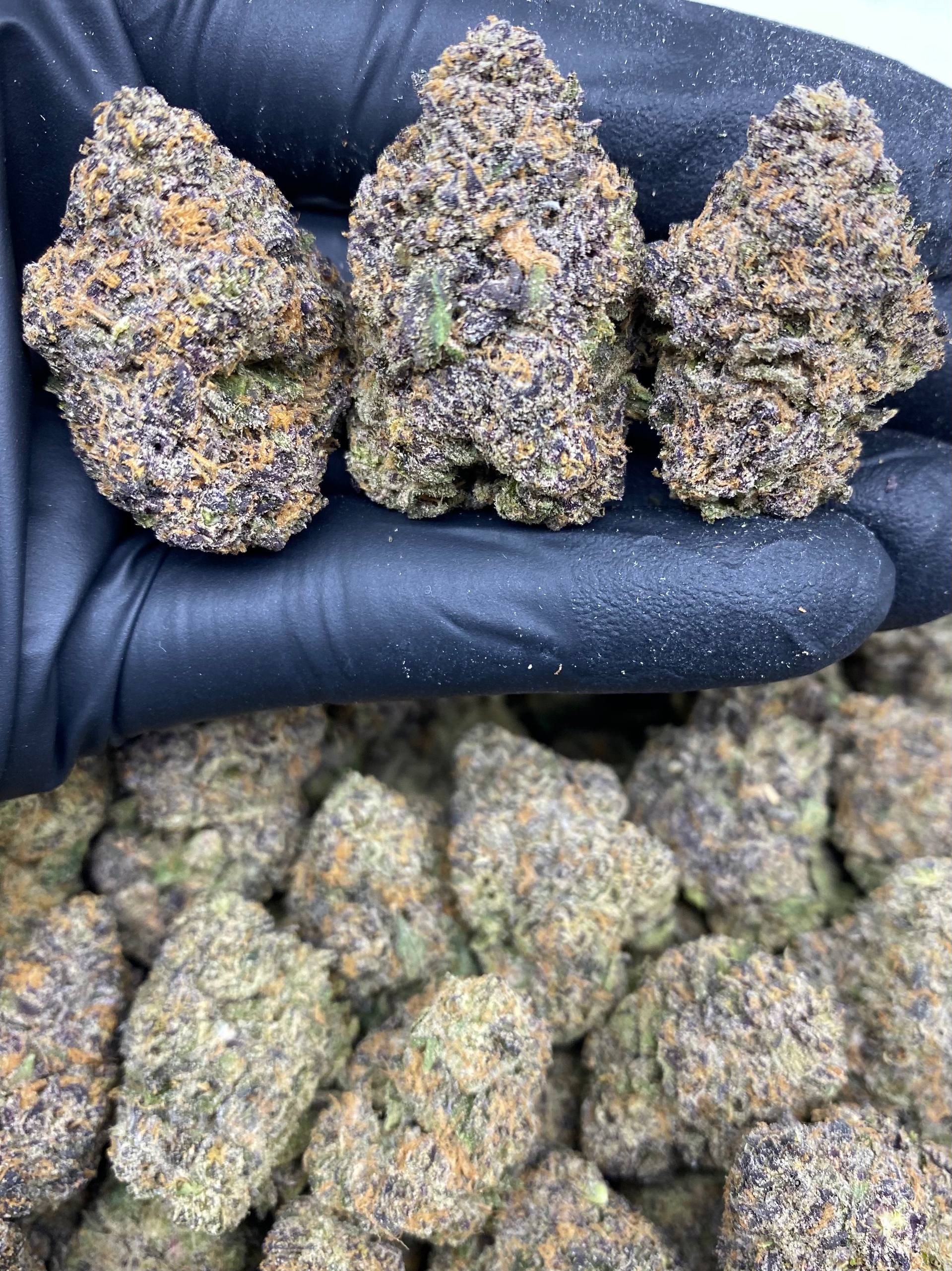 PINK RUNTZ