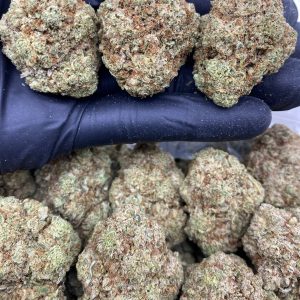 GORILLA GLUE