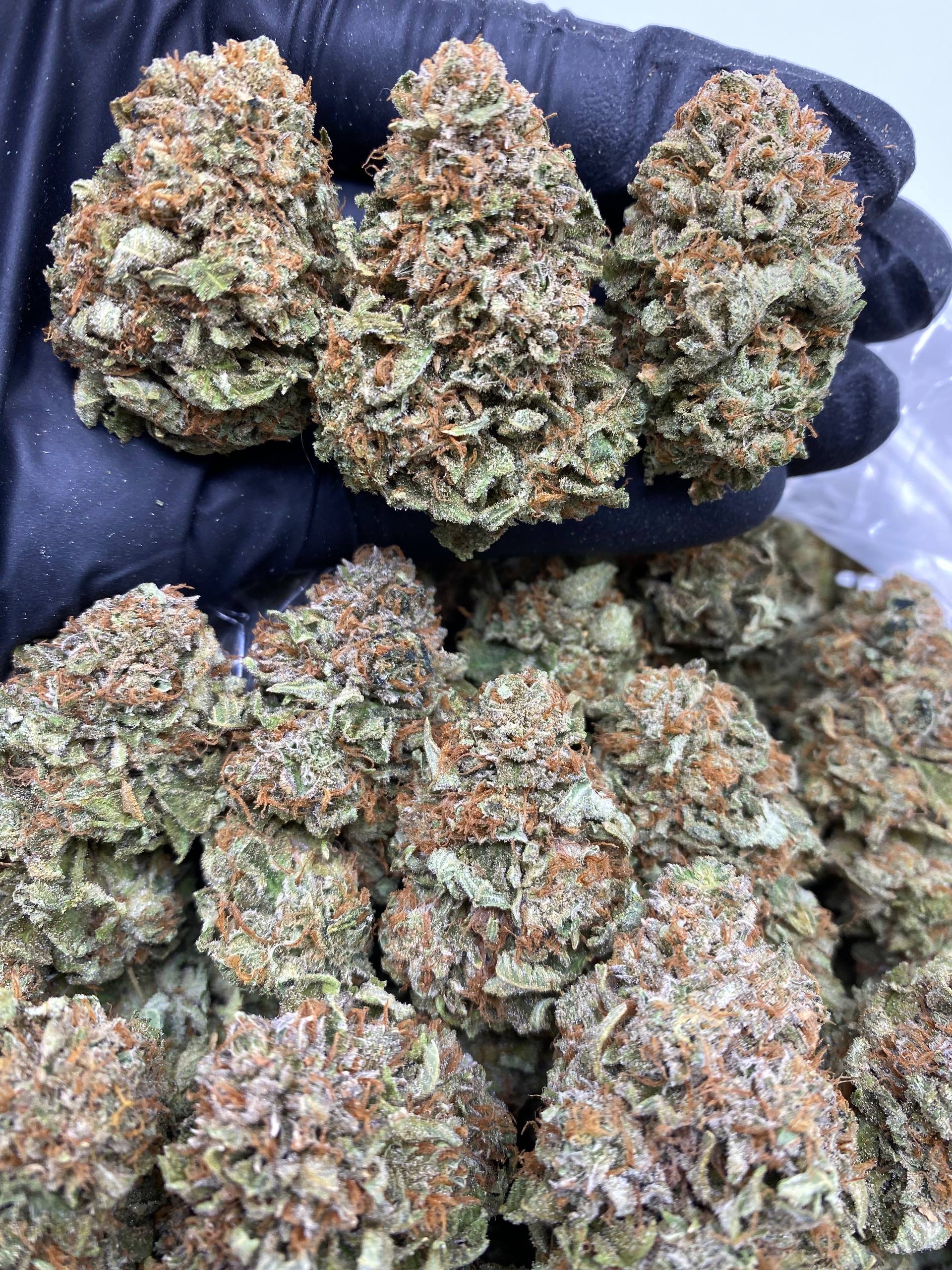 PLATINUM BUBBA