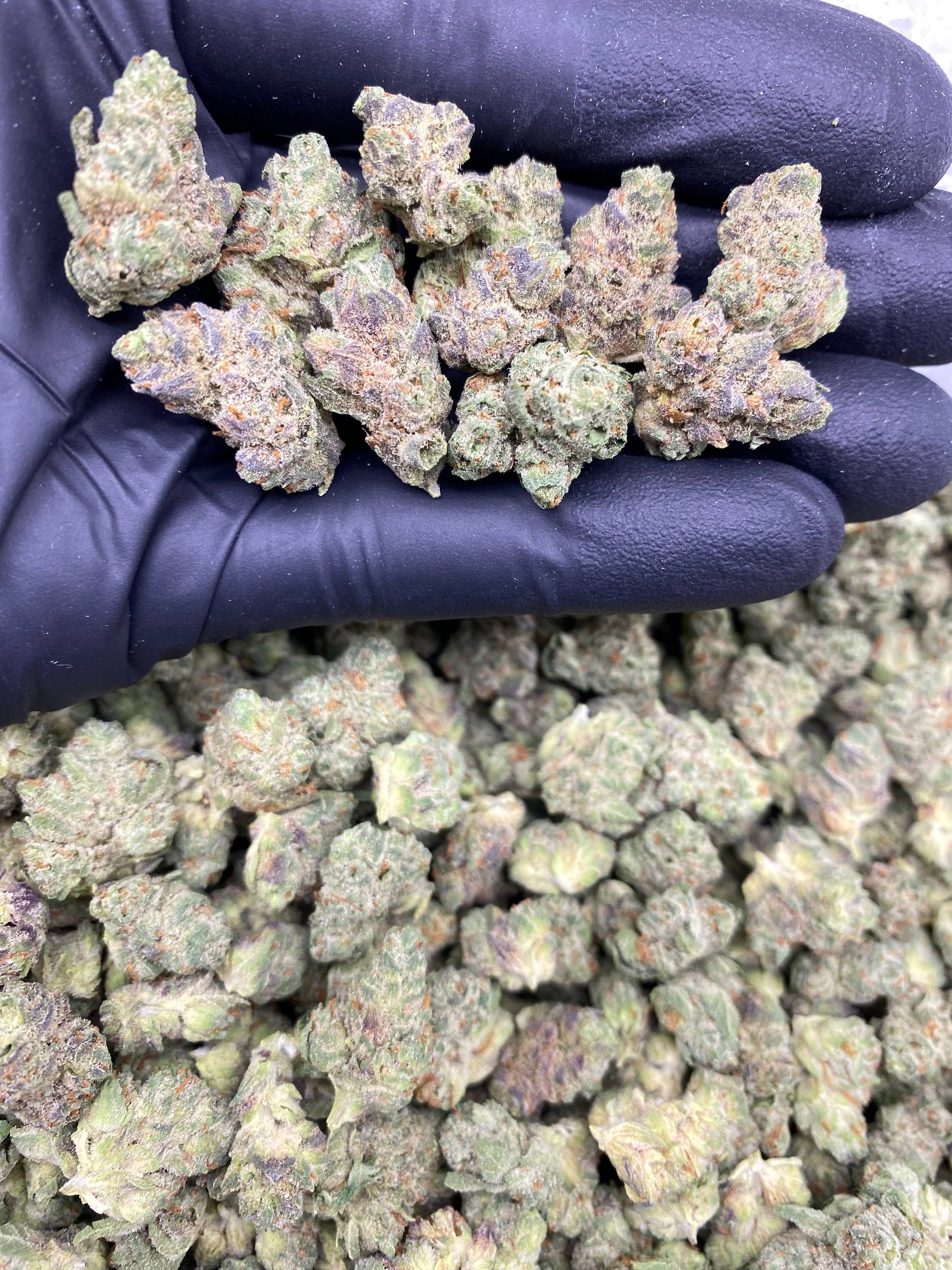 GRAPE GAS SMALLS