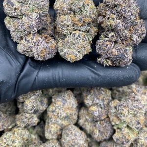PURPLE GAS RUNTZ